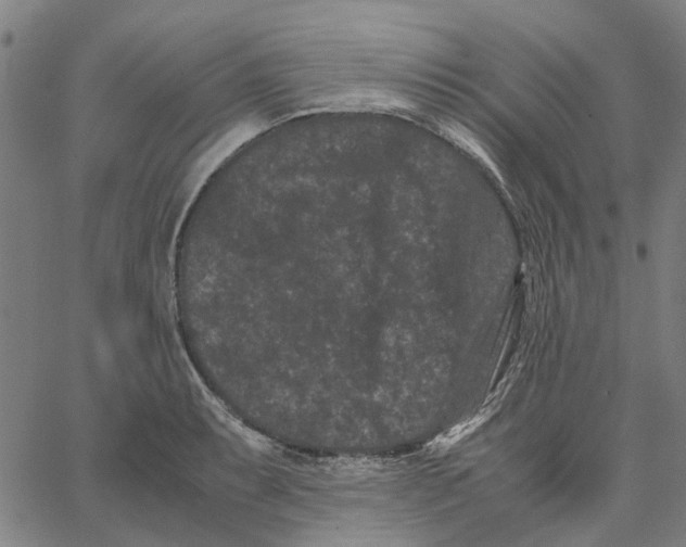 X0000062631087200601181714