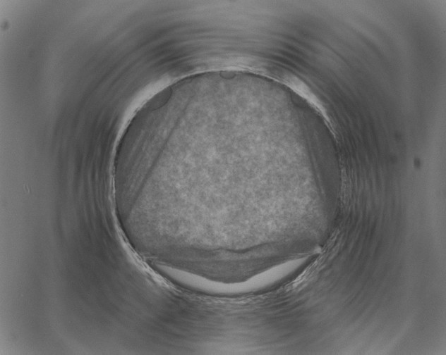 X0000062631088200601181714