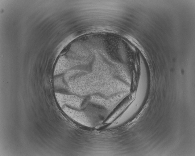 X0000062631089200601181714