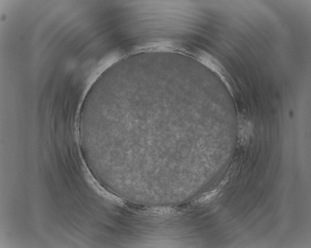 X0000062631090200601181713