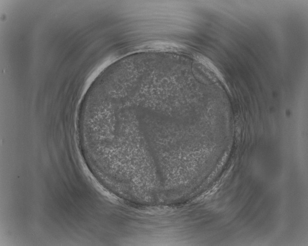 X0000062631091200601181713