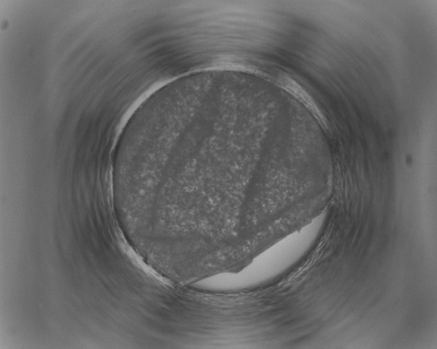 X0000062631092200601181713