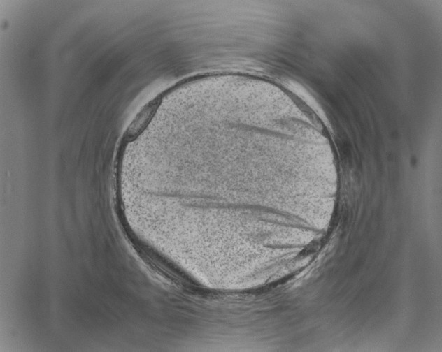 X0000062631093200601181713