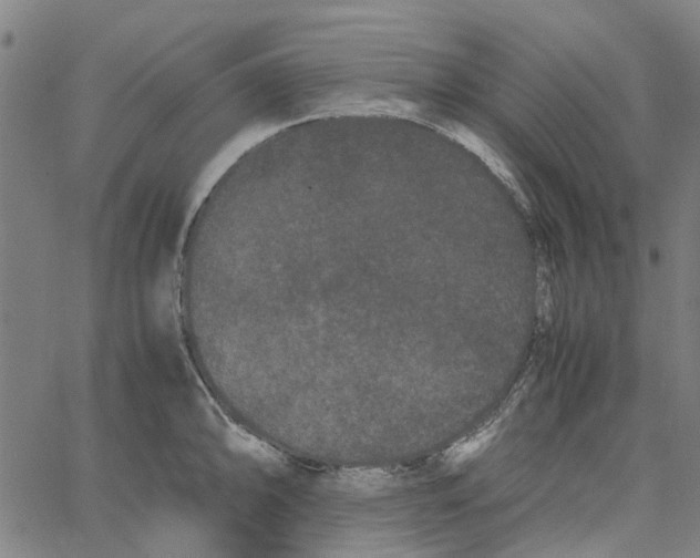 X0000062631094200601181713