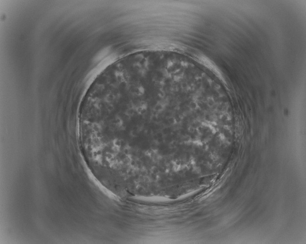 X0000062631095200601181713