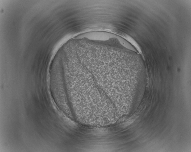 X0000062631096200601181713