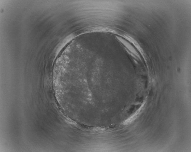 X0000062631097200601181713