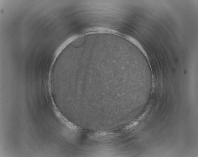 X0000062631098200601181713