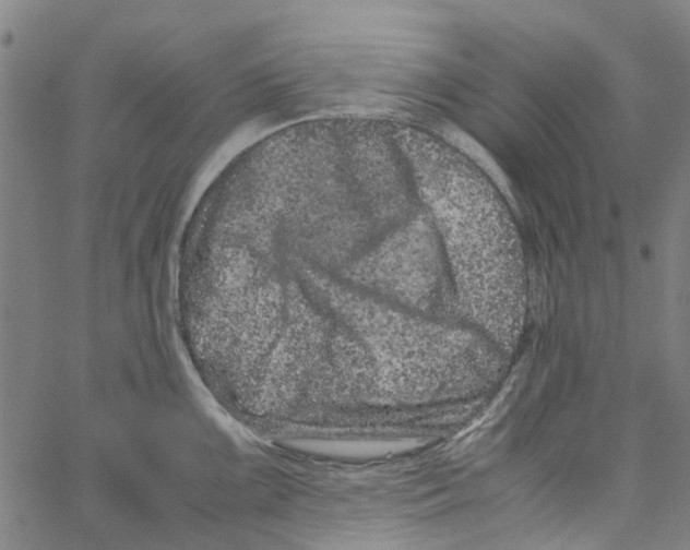 X0000062631099200601181713