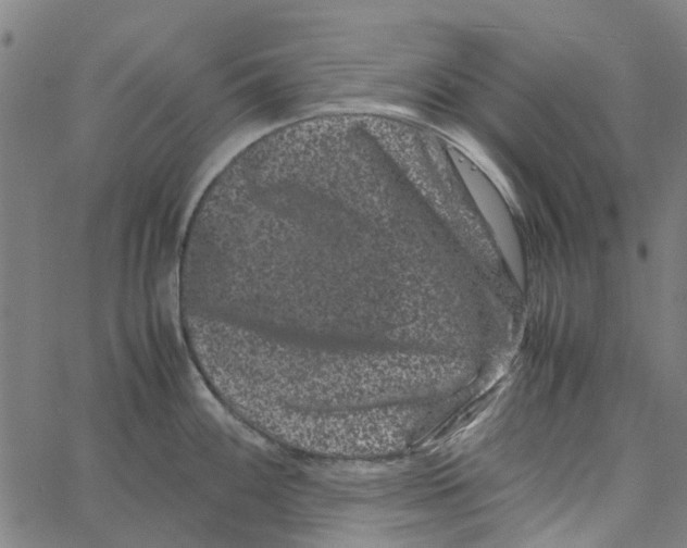 X0000062631100200601181713