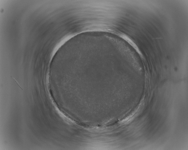 X0000062631101200601181713