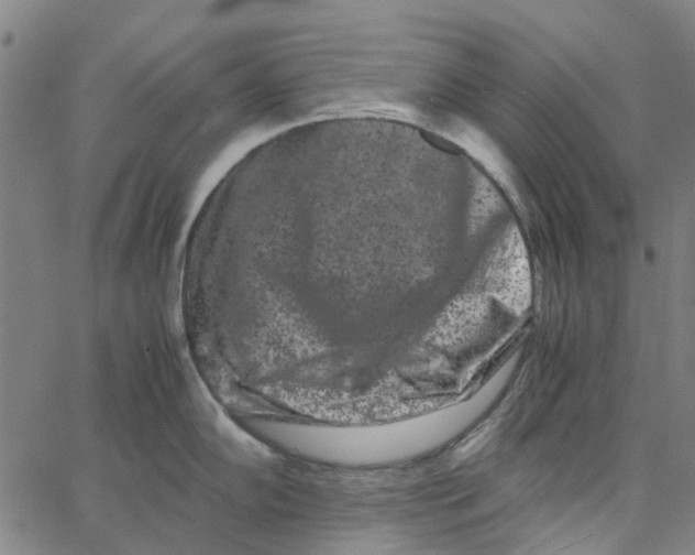 X0000062631102200601181713