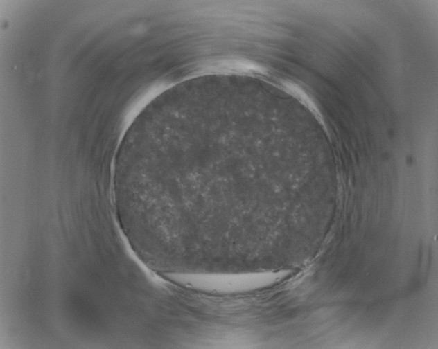 X0000062631103200601181713