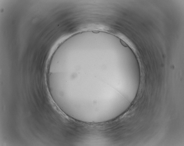 X0000062631104200601181713