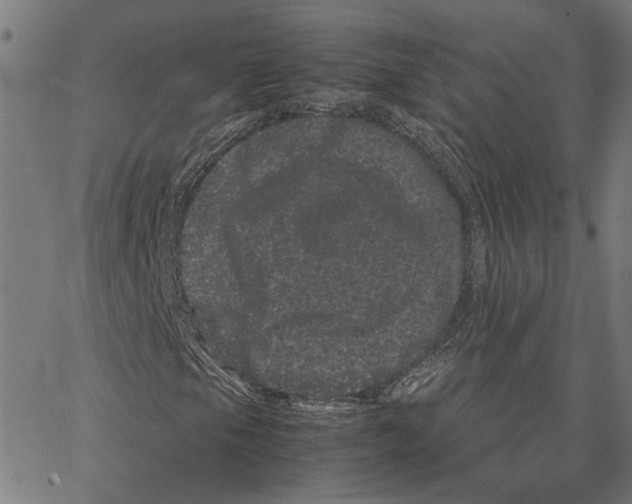 X0000062631105200601181712