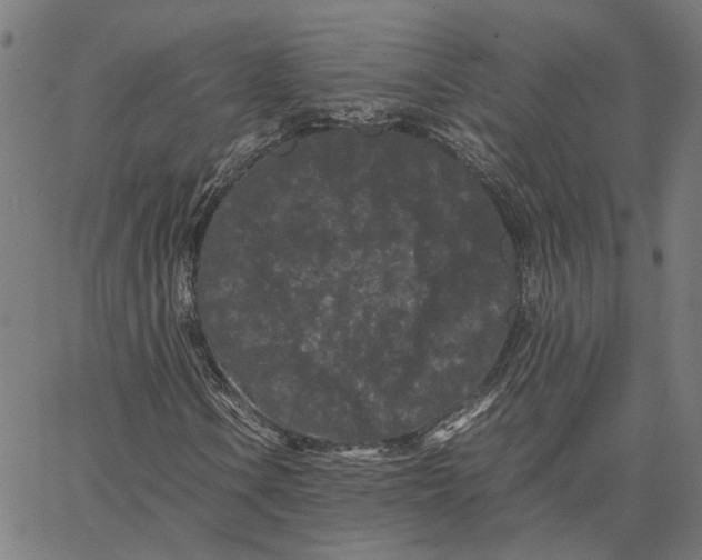 X0000062631106200601181713