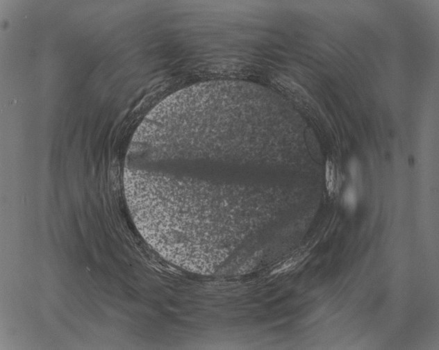 X0000062631107200601181713