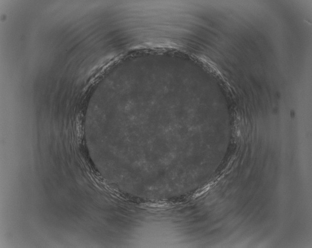 X0000062631110200601181713