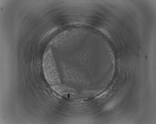 X0000062631111200601181713