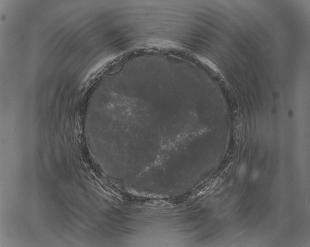 X0000062631112200601181713