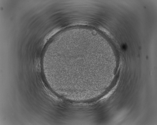 X0000062631113200601181713