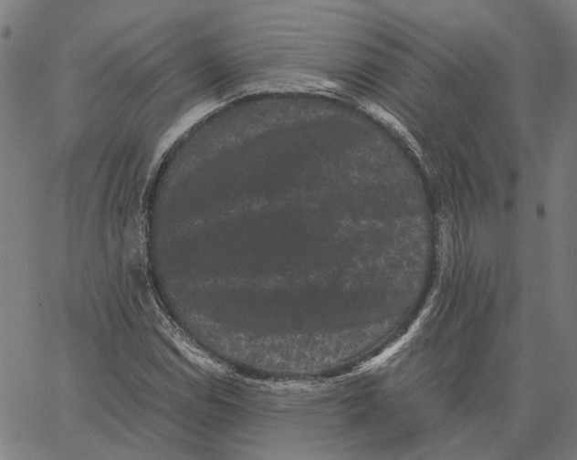 X0000062631114200601181713