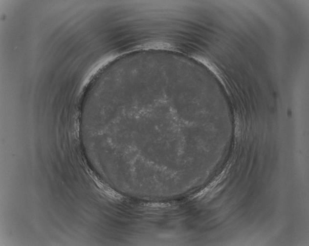 X0000062631115200601181713