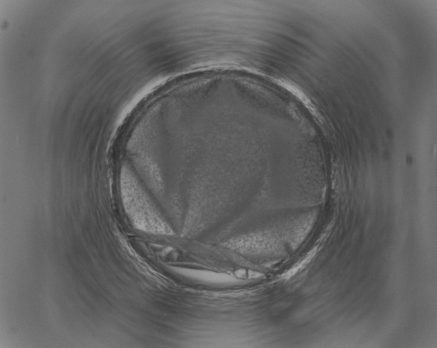 X0000062631118200601181713