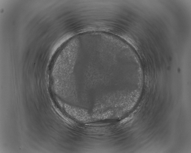 X0000062631119200601181713