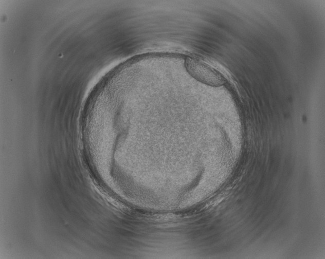 X0000062631120200601181713