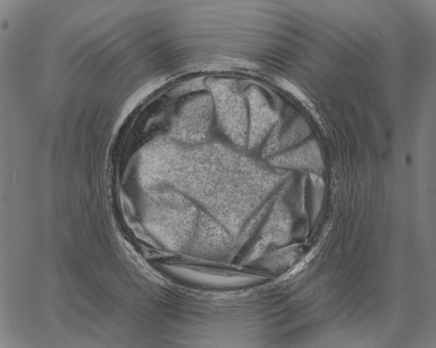 X0000062631122200601181713