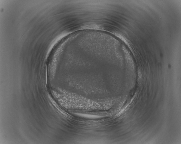 X0000062631123200601181713