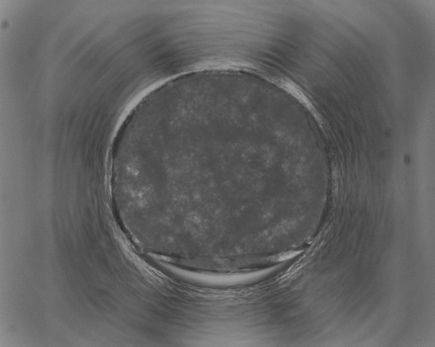 X0000062631124200601181713