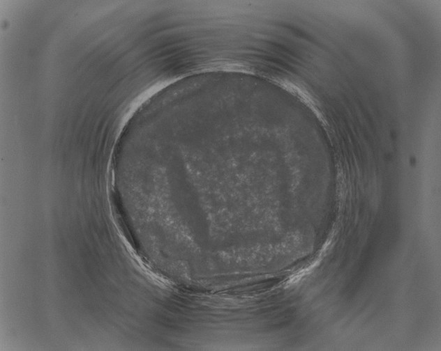 X0000062631125200601181713