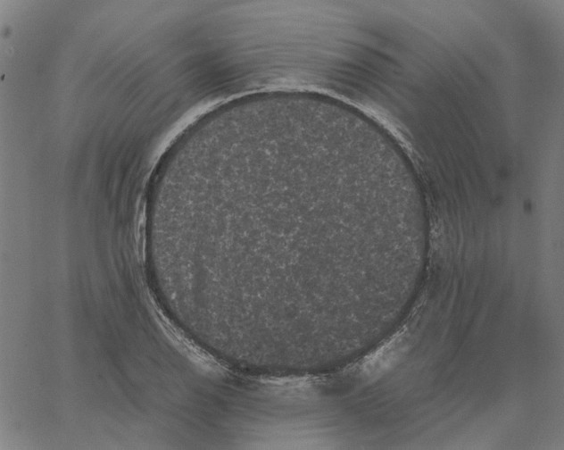 X0000062631126200601181713