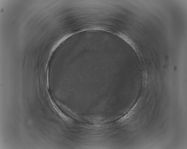 X0000062631127200601181713