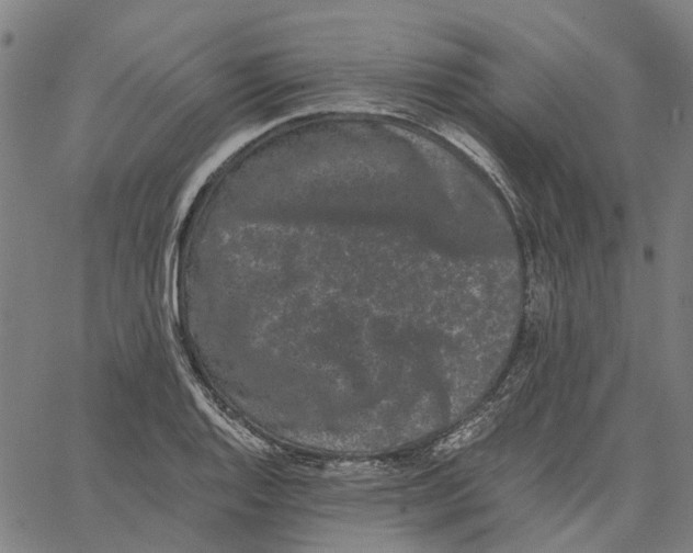 X0000062631128200601181713