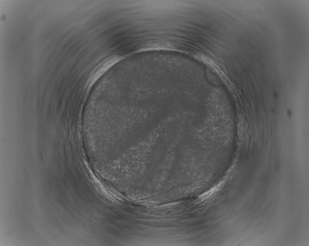 X0000062631129200601181713