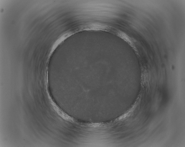 X0000062631130200601181713