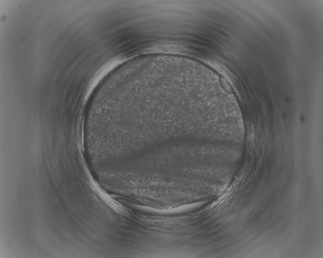 X0000062631131200601181713