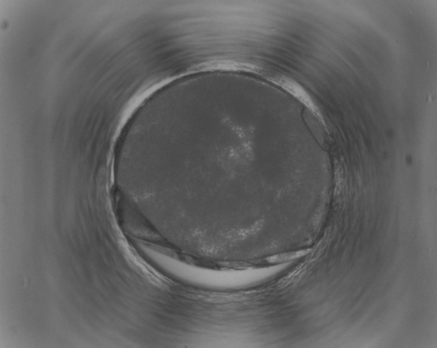 X0000062631132200601181713