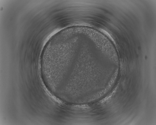 X0000062631133200601181713