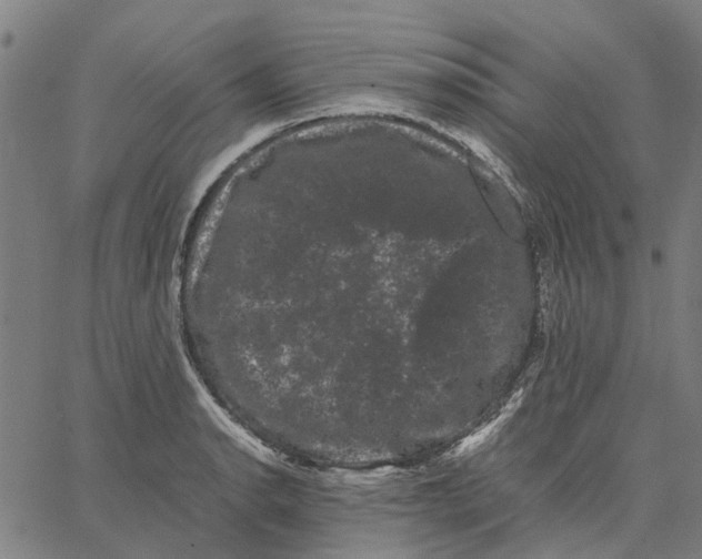 X0000062631134200601181713