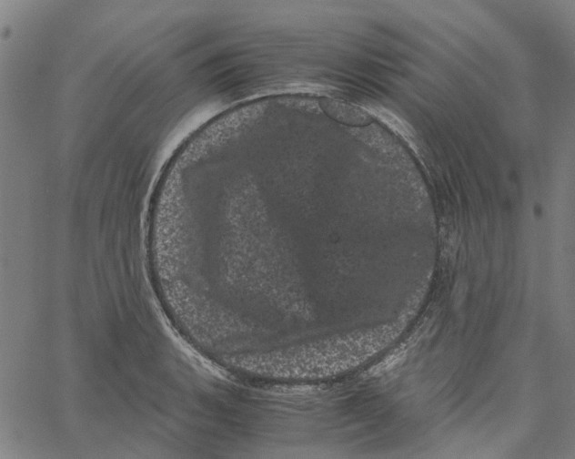 X0000062631135200601181713