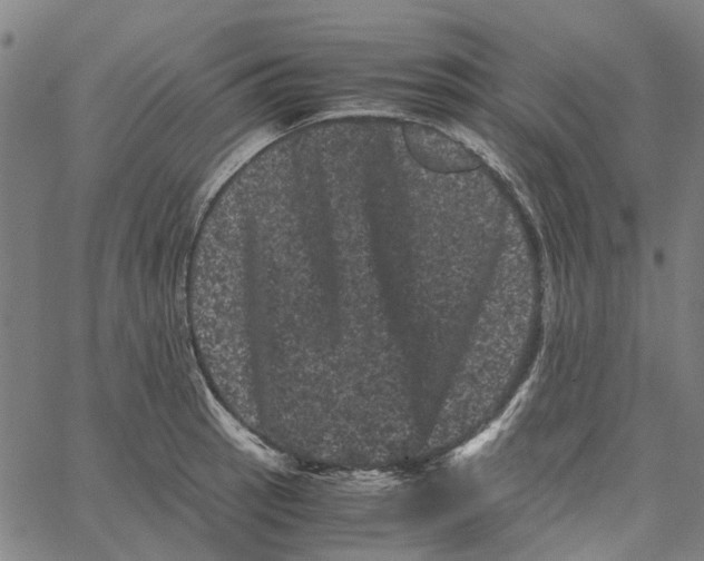 X0000062631137200601181713