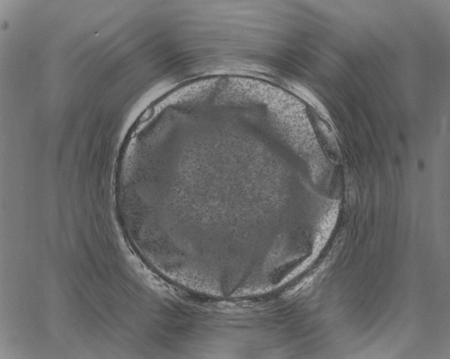 X0000062631138200601181713