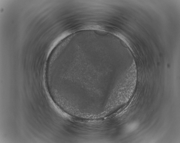 X0000062631139200601181713