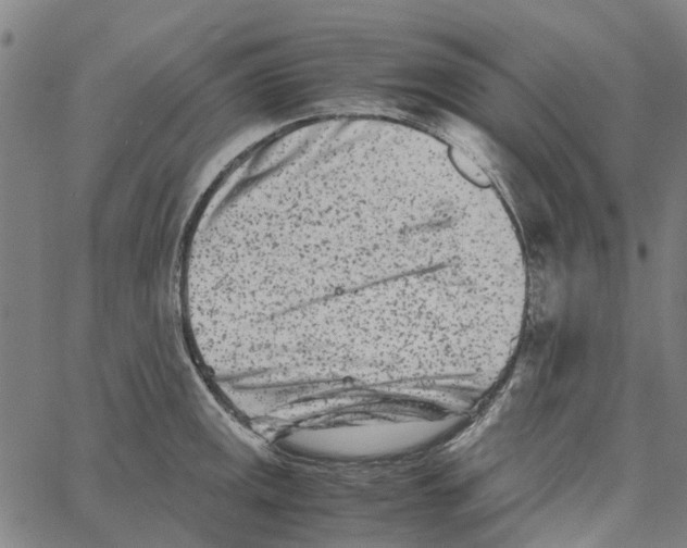 X0000062631141200601181713