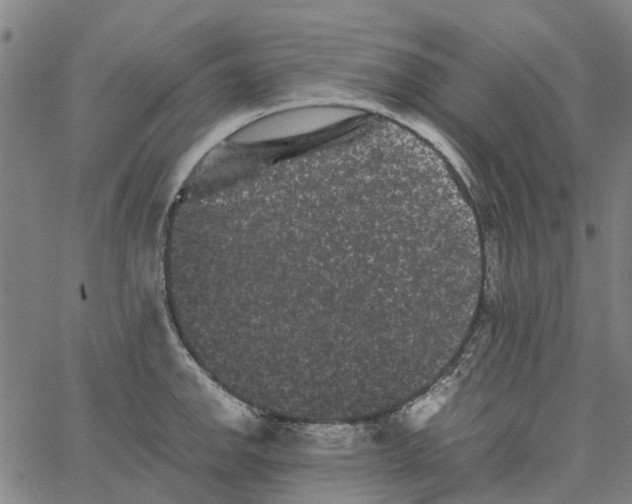 X0000062631142200601181713