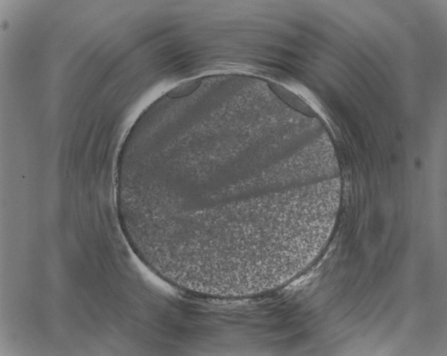 X0000062631143200601181713